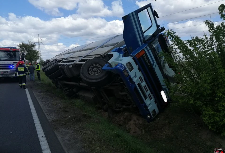 Wypadek ciężarówki z bydłem pod Kruszwicą. Ucierpiały zwierzęta