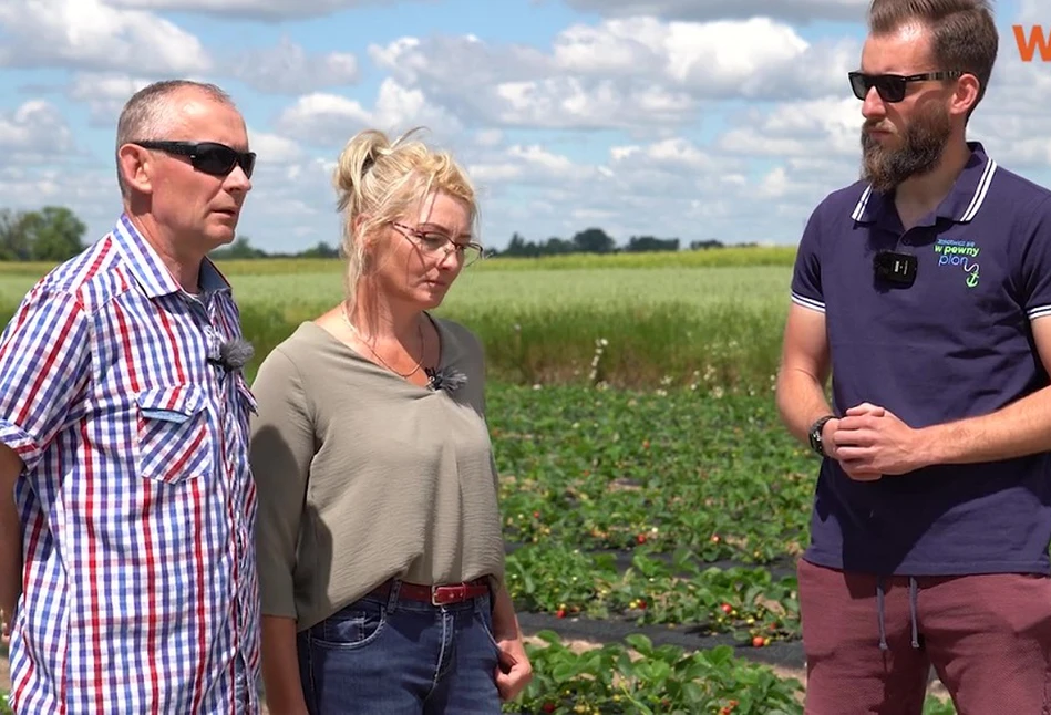 Truskawkowy szlak WIOM - Timac Agro - nawozy, w które warto zainwestować!