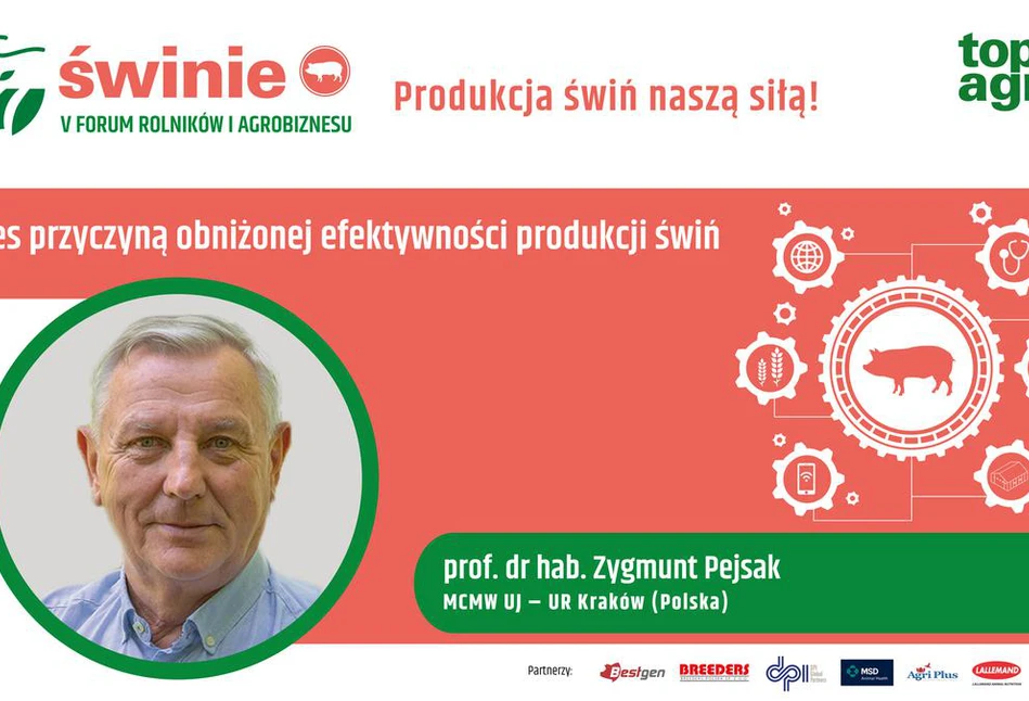 Stres - niedoceniona przyczyna obniżonej efektywności produkcji świń