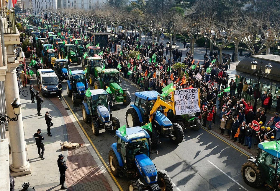 Przez Europę przetacza się fala rolniczych protestów. Gdzie i dlaczego strajkują rolnicy?