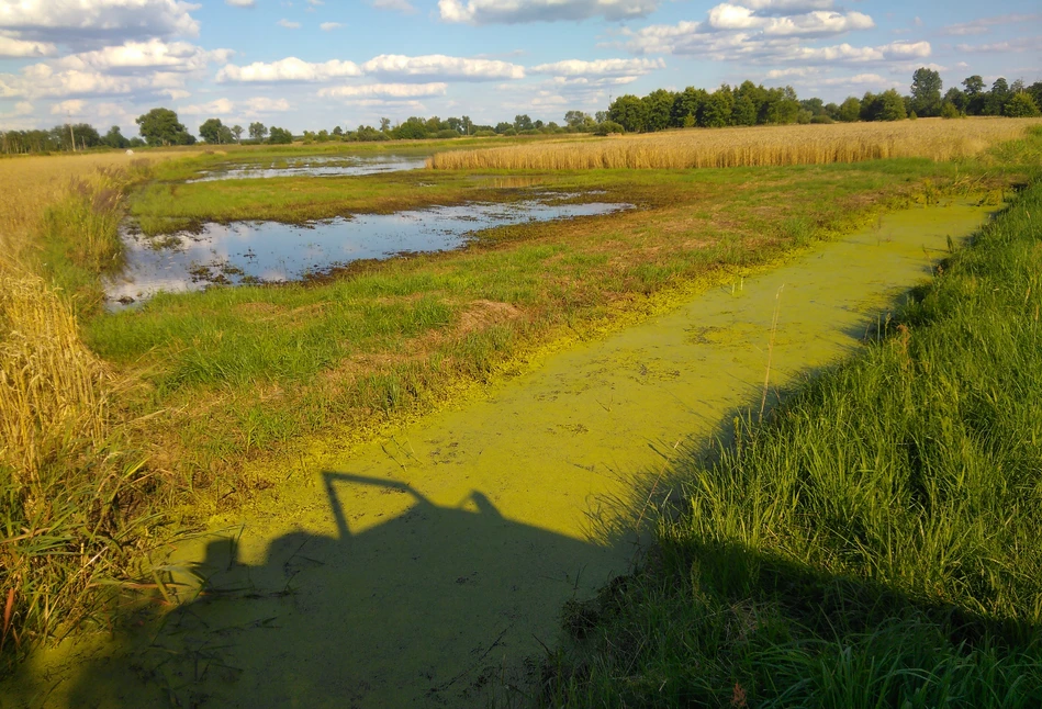 Rzeka stoi, łąki płyną, a rolnicy z Wielkopolski liczą straty