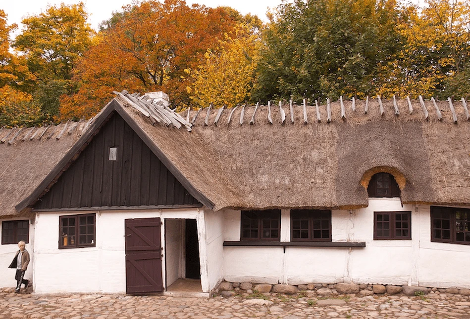 Nowe trendy w agroturystyce  – czego oczekują goście podczas wizyty?