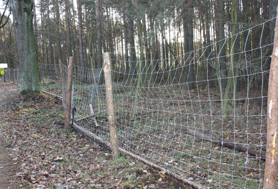 Niemcy chcą odgrodzić się od Polski