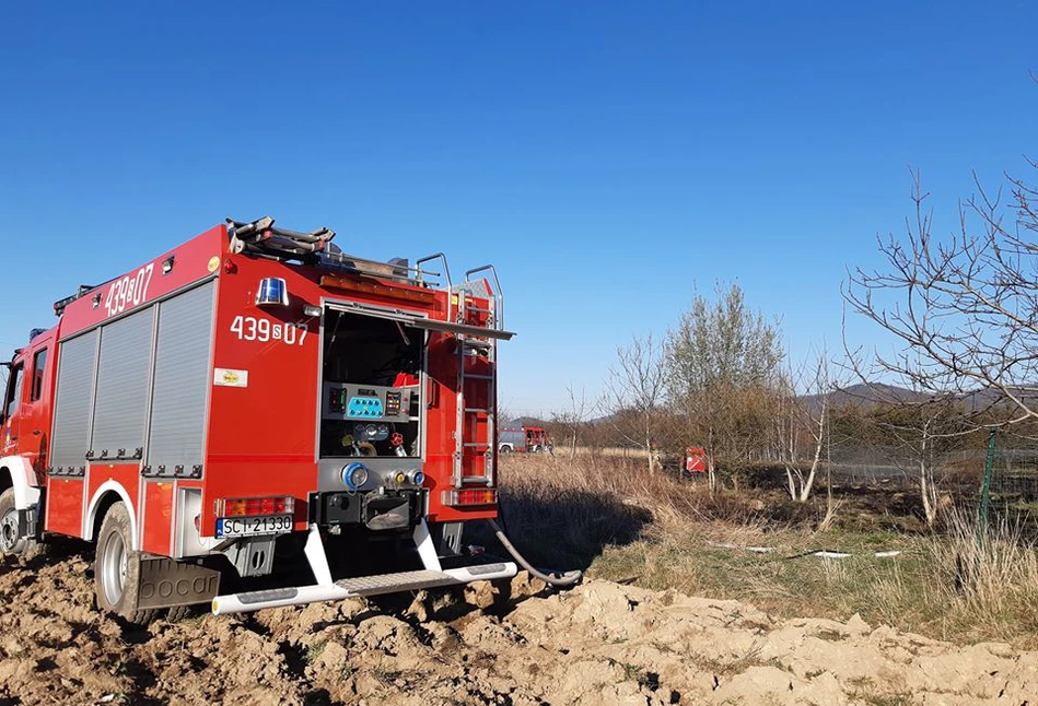 Tragiczny finał wypalania trawy. W płomieniach ZGINĄŁ starszy mężczyzna