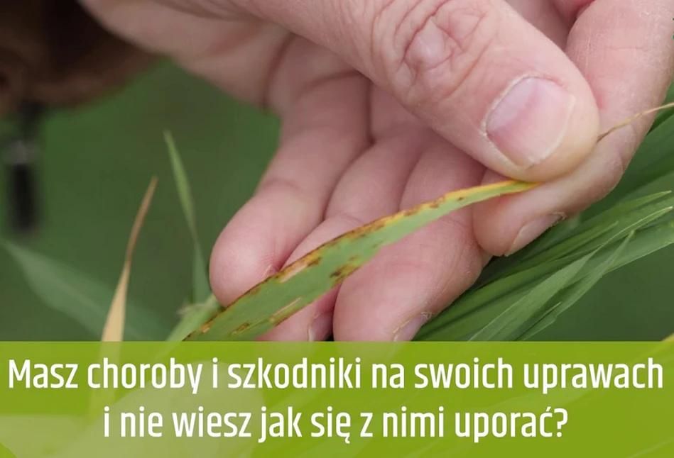 Ostry dyżur polowy – przyjedź z rośliną do Sielinka, a powiemy Ci co jej dolega