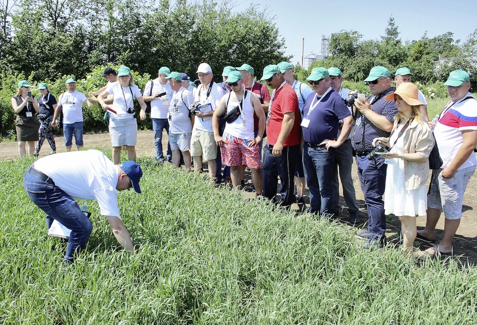 Jak w Orłowie na Pomorzu w praktyce chronią zboża i rzepak?