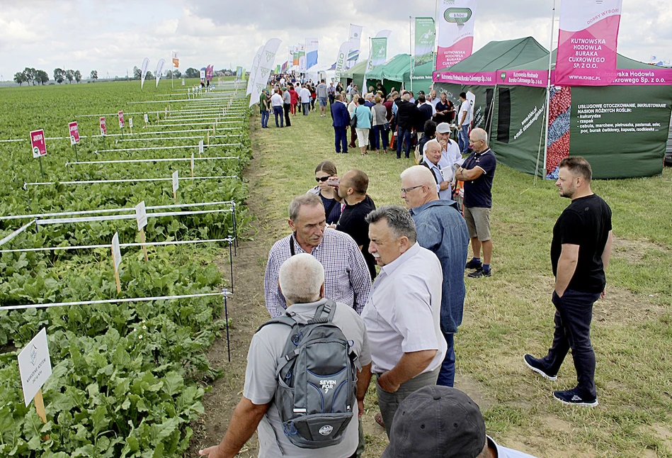 Święto plantatorów buraka cukrowego w Starym Polu