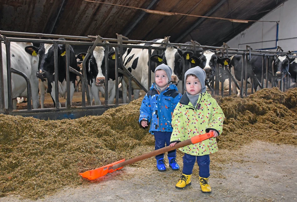 Witek i Antek, 2-letni bliźniacy uwielbiają krowy