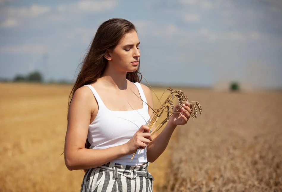 Jakie odmiany pszenicy ozimej dobrze znoszą suszę i upały?