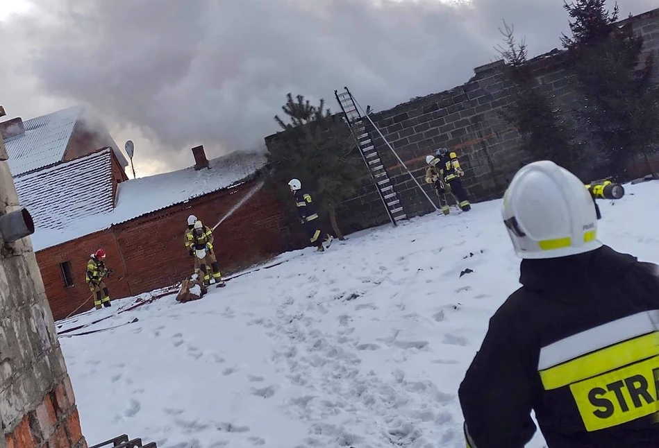 Pożar obory pod Śremem. Rolnik został poparzony ratując cielęta