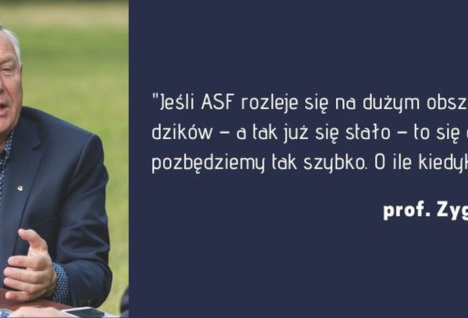 ASF zostanie z nami na lata - czy taka przyszłość czeka rolników?