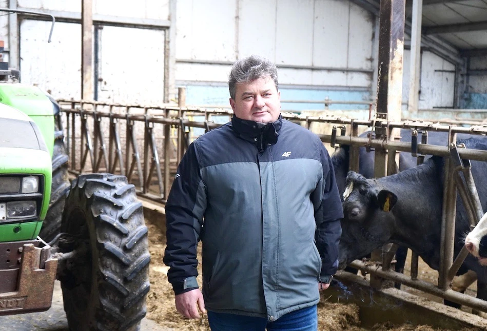 Rolnik z Podlasia ma krowy krzyżówki hf-a z rasą brown swiss. Jakie mają cechy?