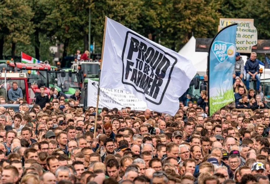 Ruch rolniczy wygrał w Holandii, bo politykom za bardzo śmierdział obornik