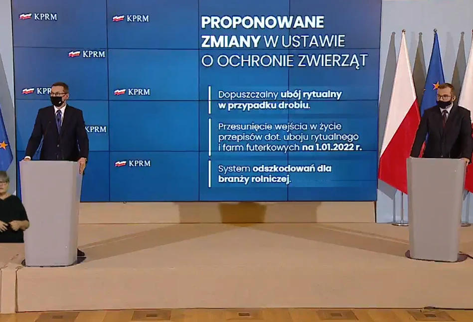 Rząd idzie na ustępstwa w sprawie „Piątki dla zwierząt”, ale z samej ustawy się nie wycofuje