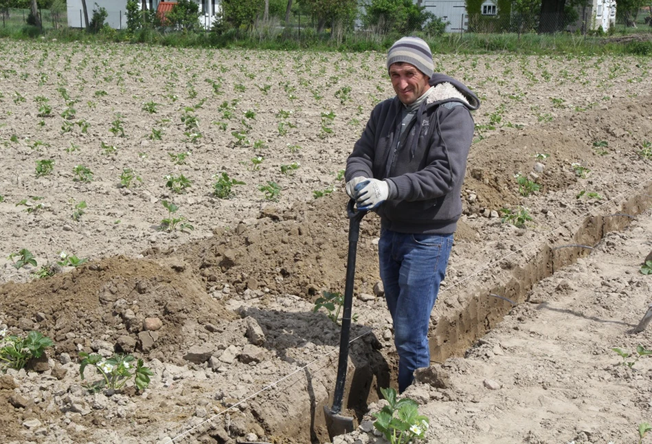 Ukraina przywróci ruch graniczny na wszystkich przejściach?