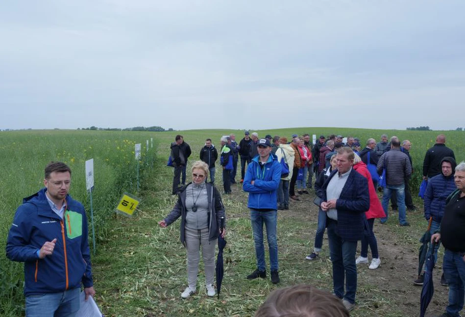 Jak iść po rekordy w plonach? Warsztaty polowe Chemirol w Oborze k. Gniezna