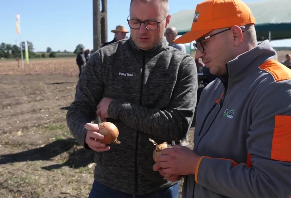 Hiszpańskie czy włoskie, które cebule od Cora Seeds? – Marcin Wieczyński