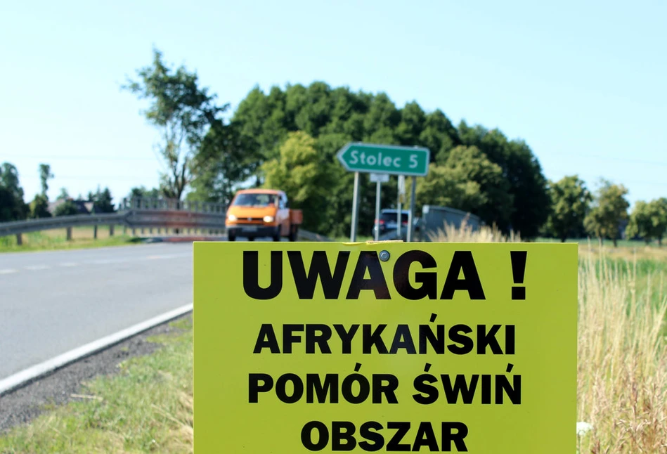 Czy pasze przemysłowe będą bezpieczne w czasie pandemii ASF?