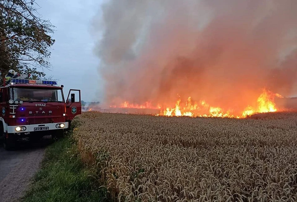 Wielkopolska: wiele pożarów na polach. Z dymem poszły też maszyny