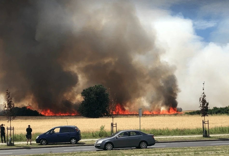 Spłonęło 25 ha zboża pod Lubinem!