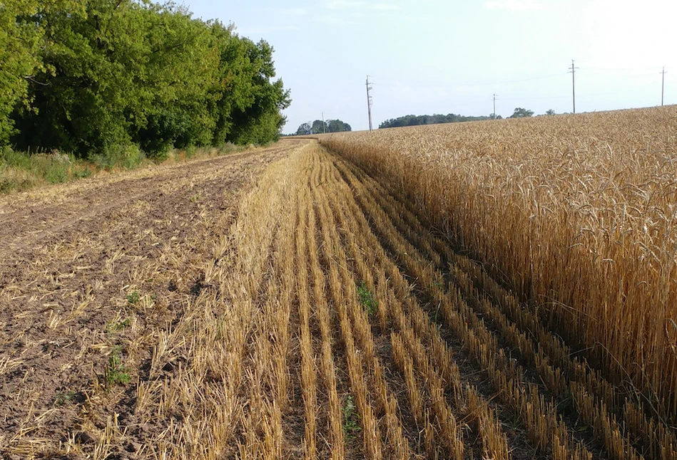 Żniwa 2019: Profilaktyka przeciwpożarowa pola