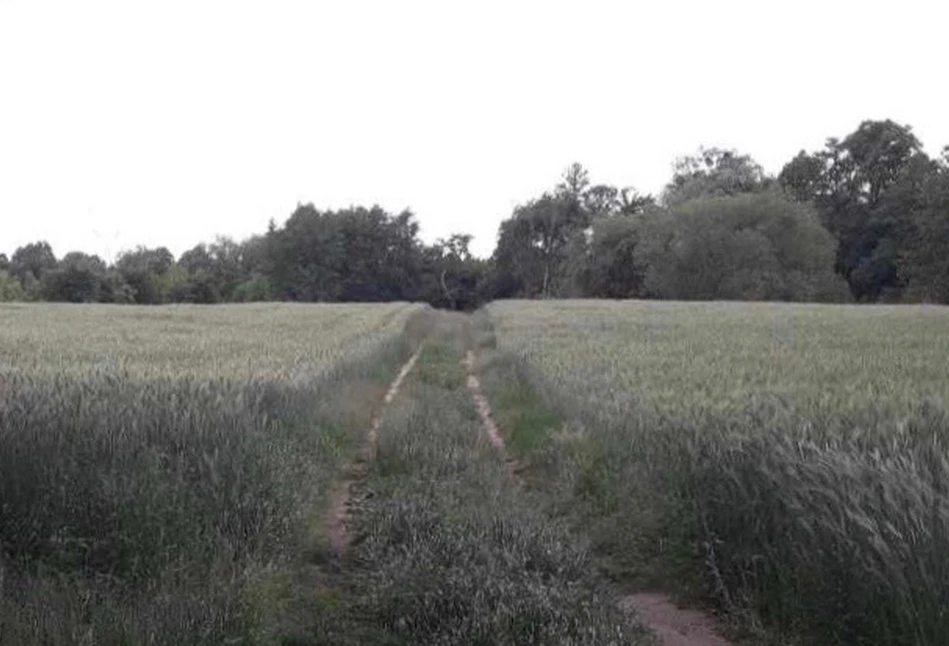 Czy gmina może odmówić zgody na postawienie budynków w gospodarstwie przez brak dojazdu do drogi publicznej?