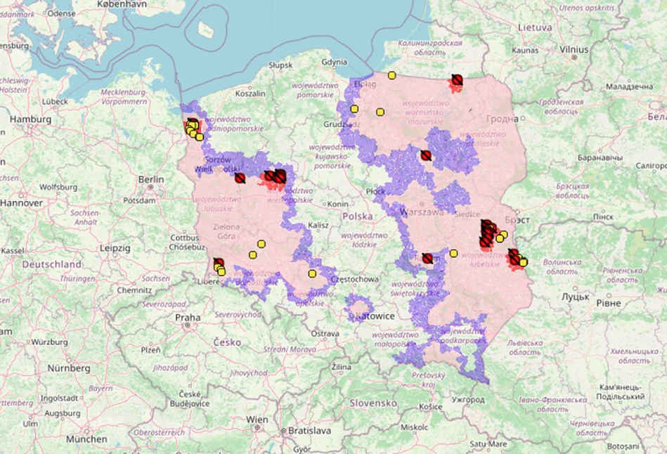 Zmiany w regionalizacji stref ASF – dobre wieści dla woj. łódzkiego i pomorskiego