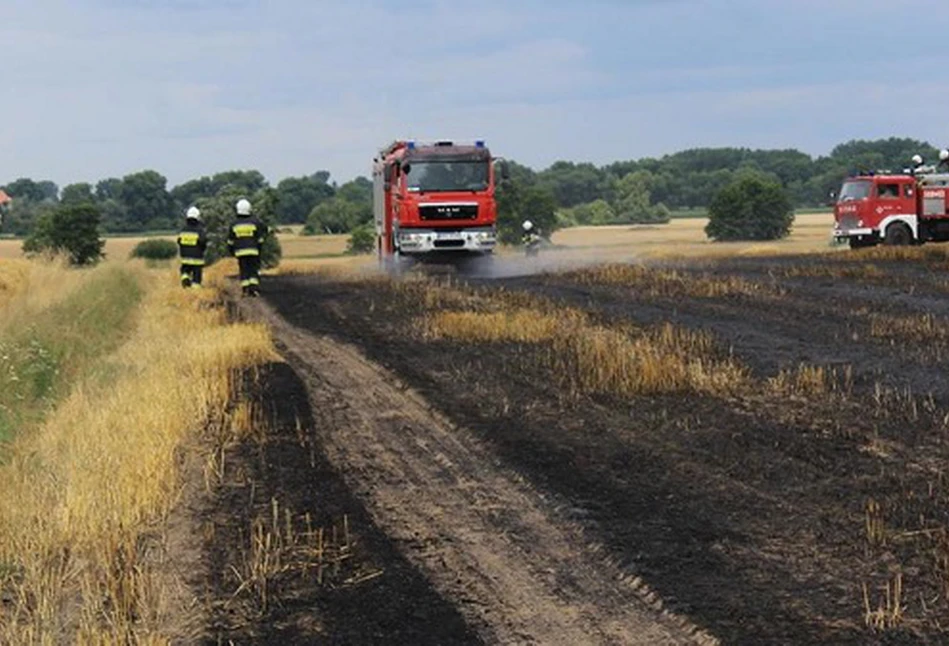 „Podpalił zboże zapalniczką i patrzył, jak płonie”