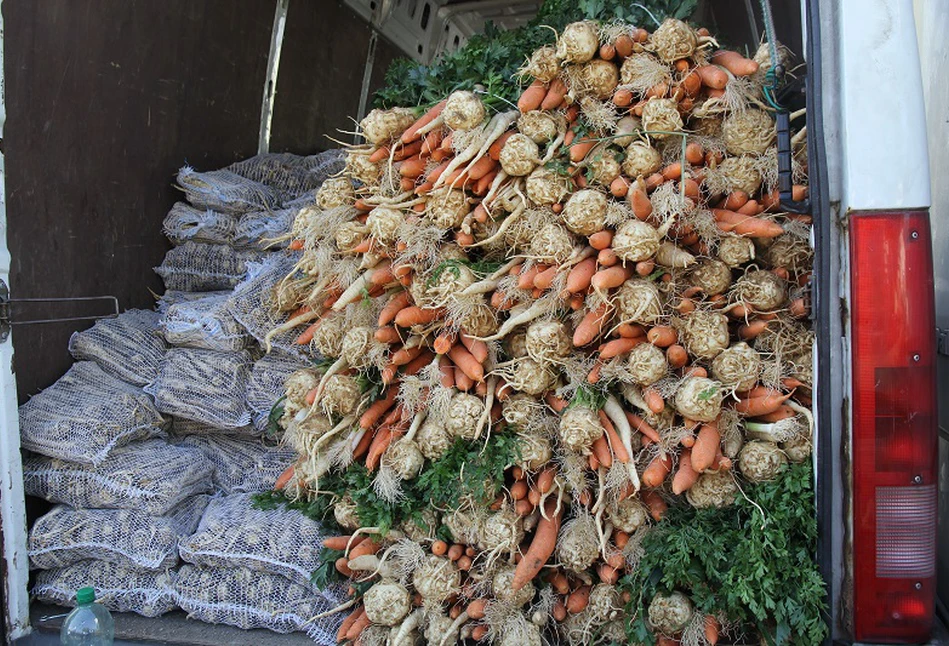Zamiast IJHARS to skarbówka będzie kontrolować rolników