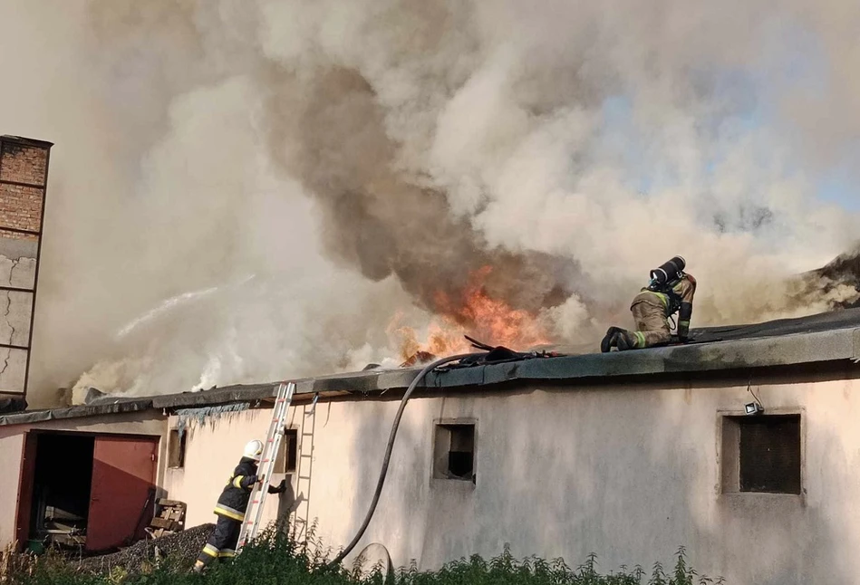 Kurnik z 30 tys. piskląt strawiony przez ogromny pożar