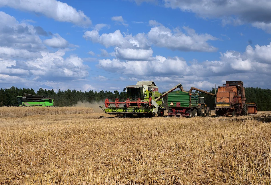 Rosną ceny skupu produktów rolnych, za to koszty rolników wręcz galopują