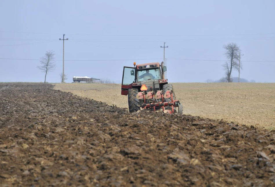 Jakie dopłaty bezpośrednie dostaną polscy rolnicy, a jakie farmerzy z Niemiec i Danii?