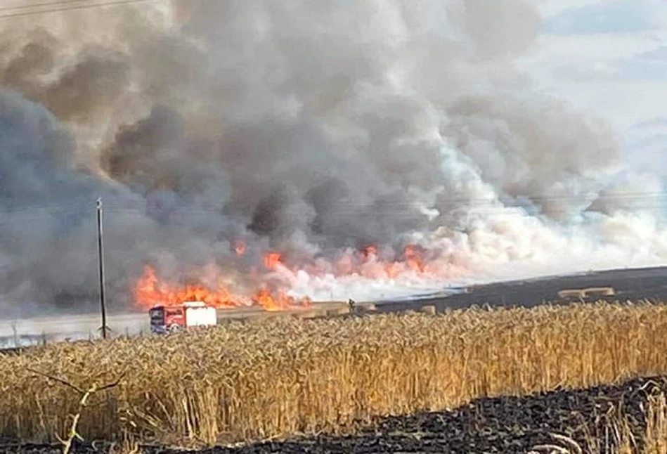 Pożar pod Pyrzycami - spłonęło 30 ha zboża!