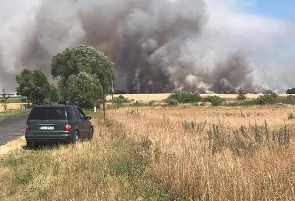 Wielki pożar pod Poznaniem – spłonęło 70 hektarów jęczmienia!