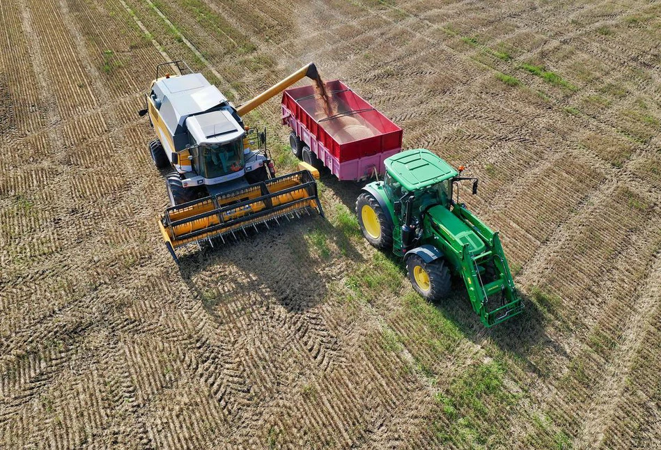 Spadają ceny zbóż oraz bydła, a drożeją prosięta… z Danii.  Raport rynkowy z 10.06.2022