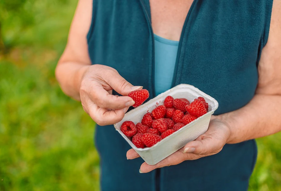 Dramat na rynku malin - plantatorzy protestują. Ceny skupu bardzo niskie. Jakie są przyczyny?