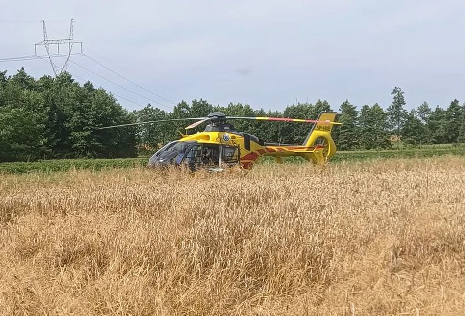 Byk kopnął rolnika w twarz. 33-latek helikopterem trafił do szpitala