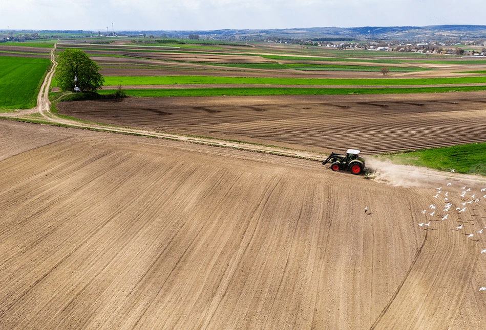 Dzierżawa nie dla rolników. Poseł Rzepa: KOWR napluł polskim rolnikom w twarz!