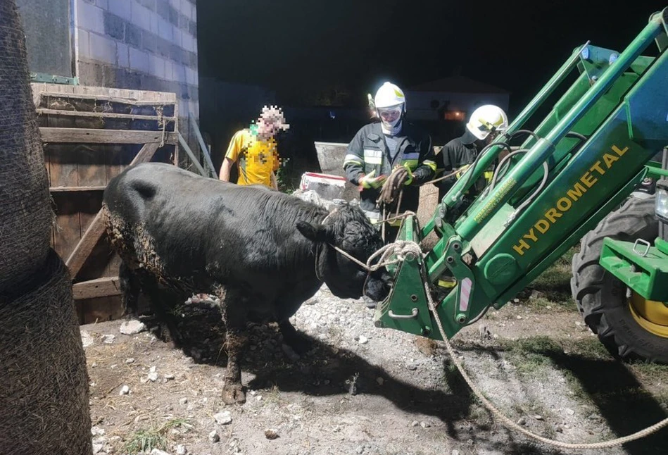 Katastrofa budowlana pod Opalenicą. Zawalił się dach obory [ZDJĘCIA]