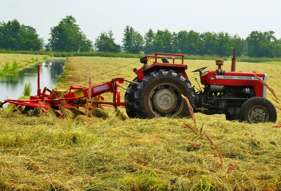 Walka o paszę: rolnik skosił 3 ha cudzej łąki i ukradł trawę