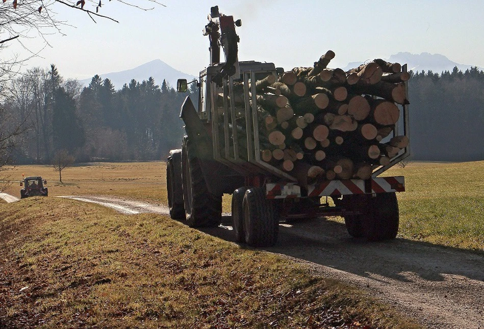 Rozwój usług rolniczych i leśnych - wydłużony termin naboru wniosków