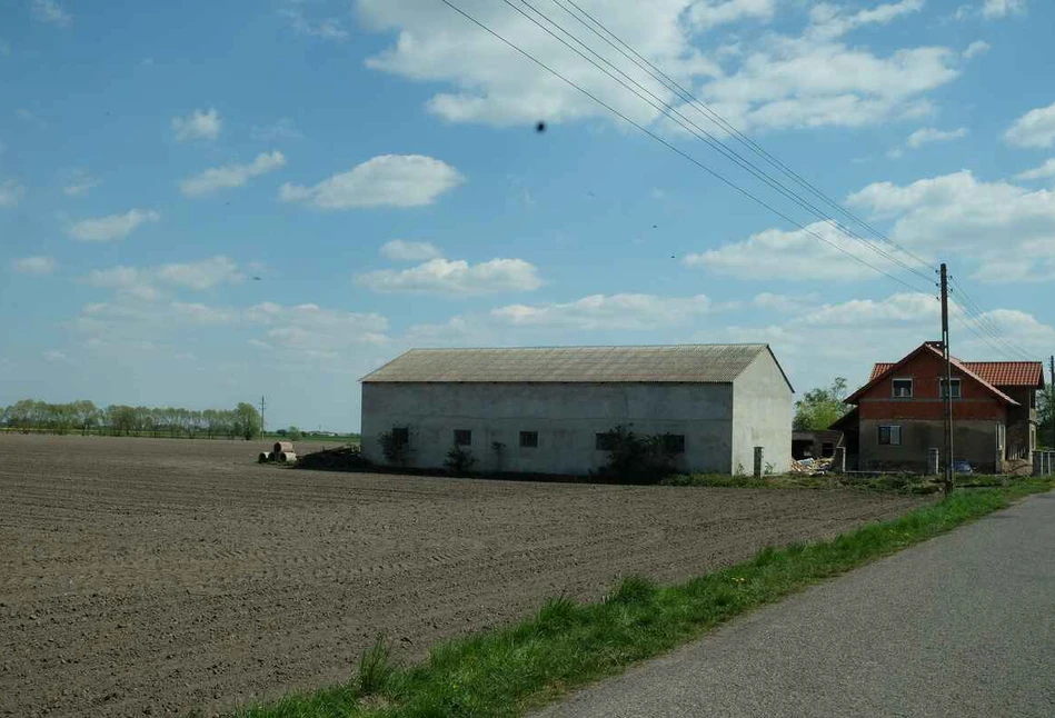 Część budynków związanych  z produkcją rolną bez pozwolenia na budowę. Które obejmie zmiana?