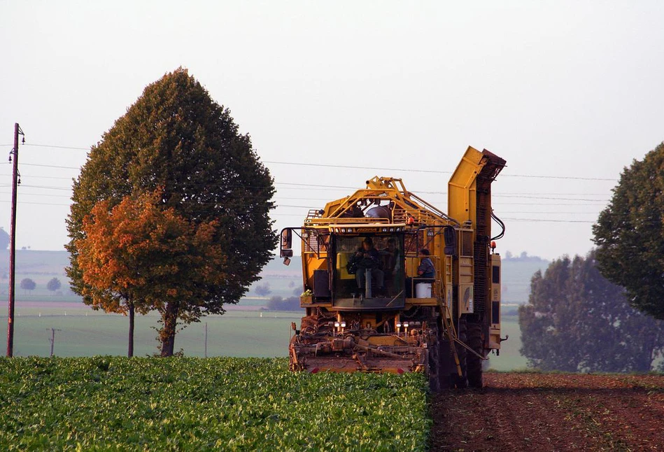 Dodatkowe 1000 zł premii dla plantatorów buraków z KSC