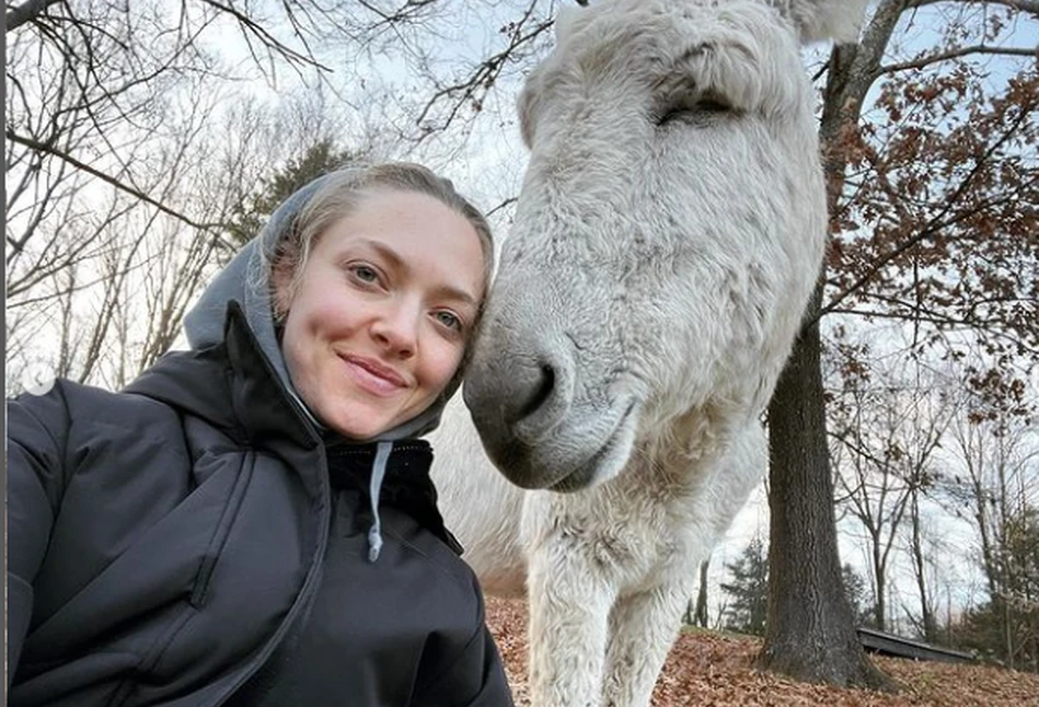 Rolnicza pasja gwiazd. Którzy celebryci z Hollywood pracują na własnych gospodarstwach?