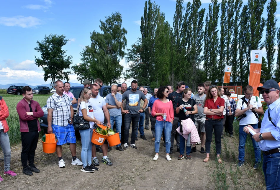 Przegląd odmian roślin uprawnych na platformie KWS Polska