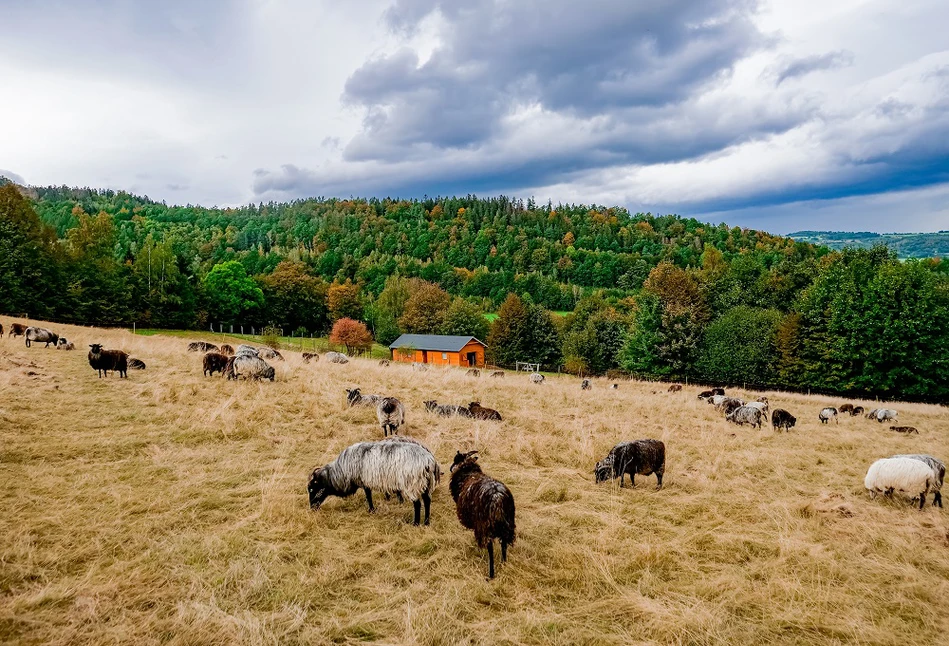 Wieś może zyskać od 10 do 50 tys. zł wsparcia!