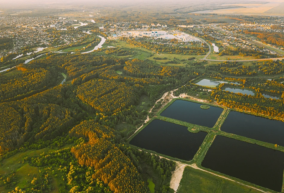 Jak rząd będzie walczył z suszą rolniczą?