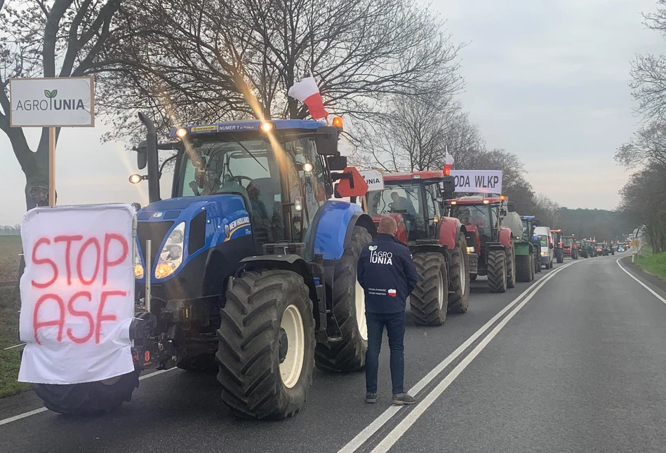 Protesty rolników – powinniśmy się wspierać w walce z ASF!