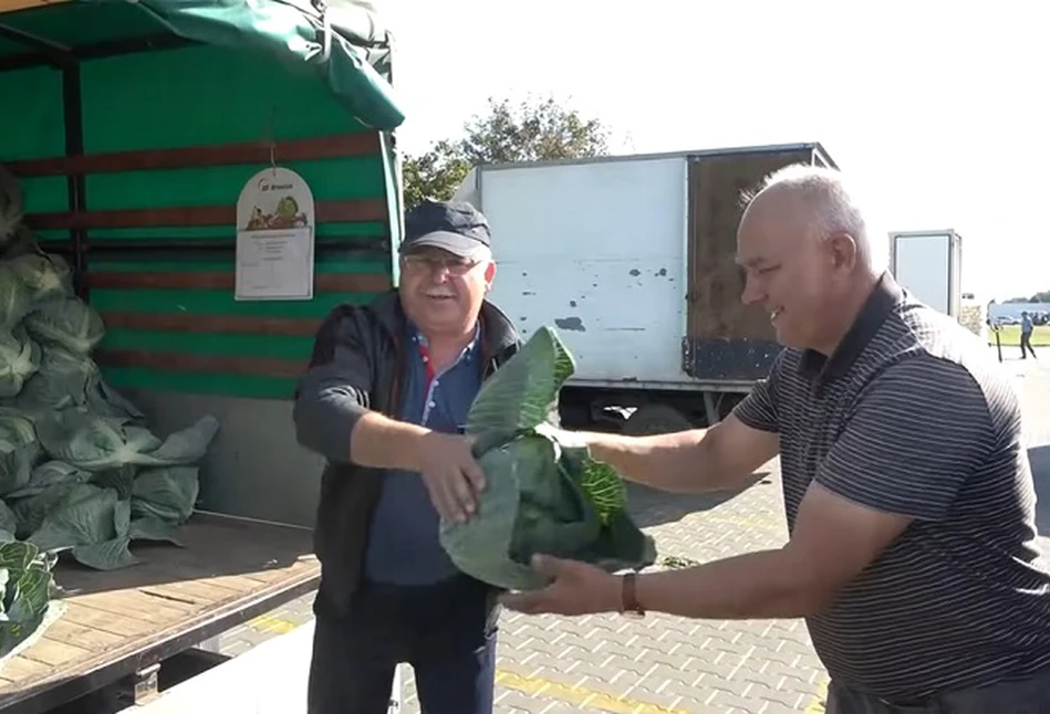 Ceny niektórych warzyw i owoców są drastycznie niskie. Załamani rolnicy chcą likwidować plantacje