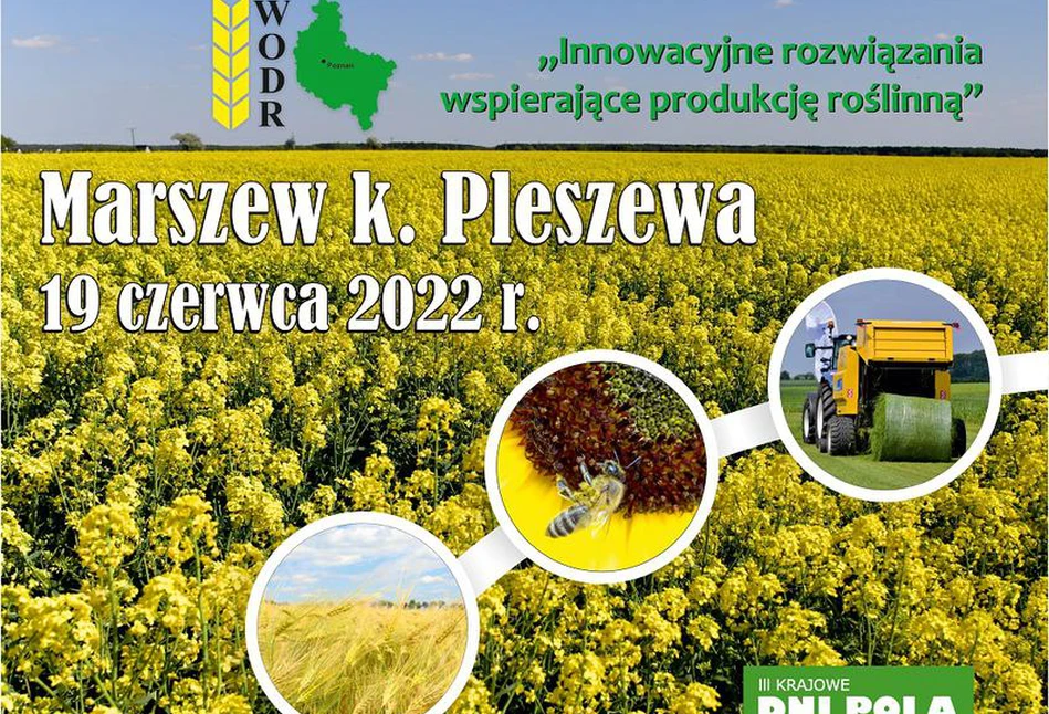 Marszewskie Dni Pola - 150 odmian gatunków roślin i pokaz nowoczesnego sprzętu